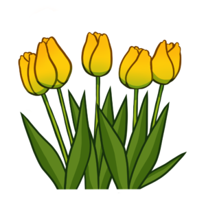 katamaheen-tulips-7836232_1920