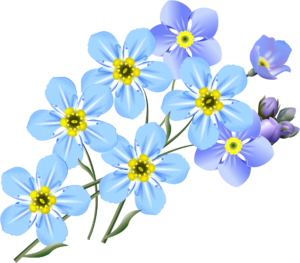 olin-drawing-2993282_1920